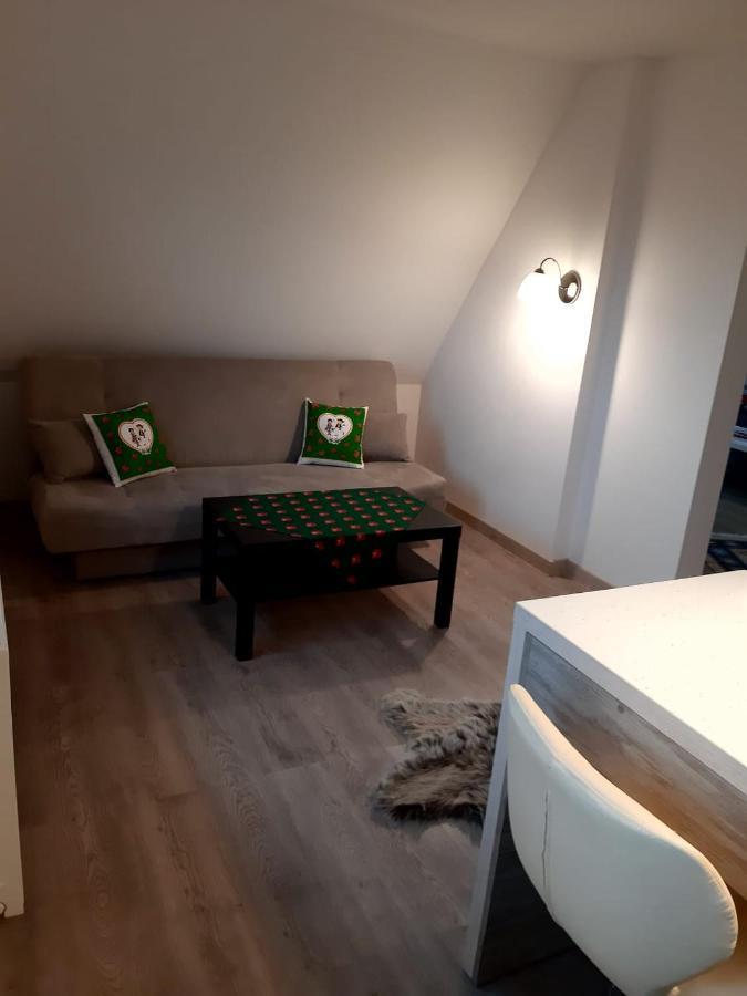 Apartamenty Z Widokiem ザコパネ エクステリア 写真