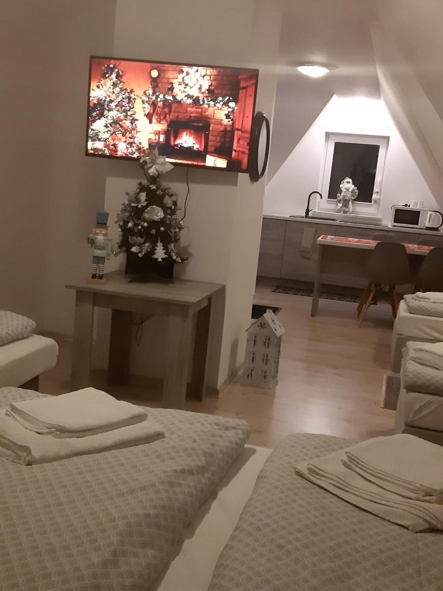 Apartamenty Z Widokiem ザコパネ エクステリア 写真